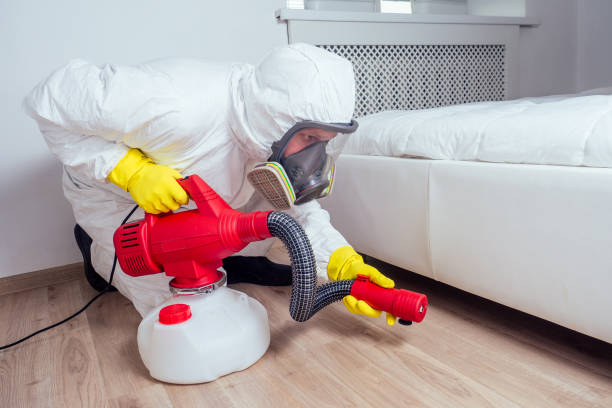 Best Real Estate Pest Inspections  in Mcgregor, TX